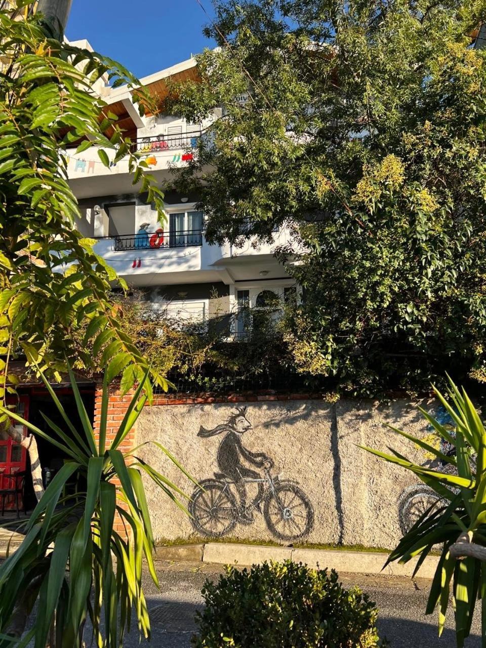 Divina Hostel ティラナ エクステリア 写真